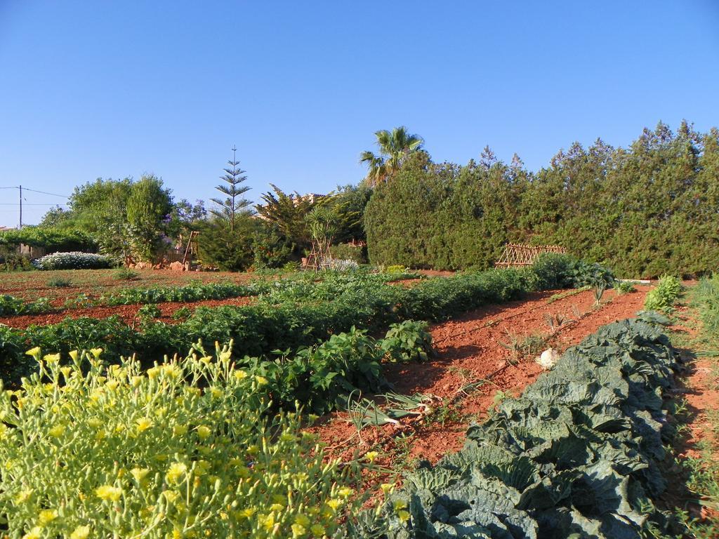 Agroturisme Can Bessol S'Horta Exterior photo